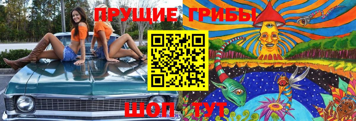Галлюциногенные грибы мицелий Выборг