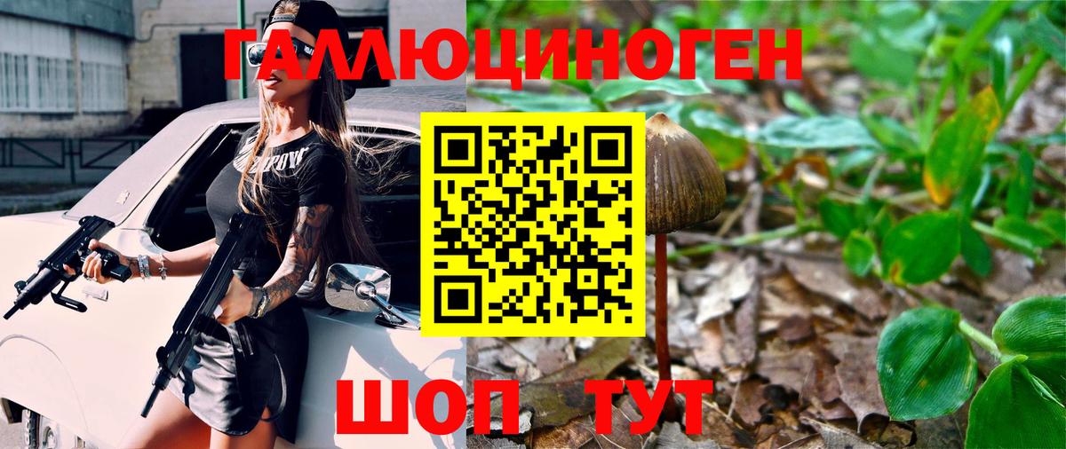 Выборг  Галлюциногенные грибы прущие грибы  Вход с VPN 